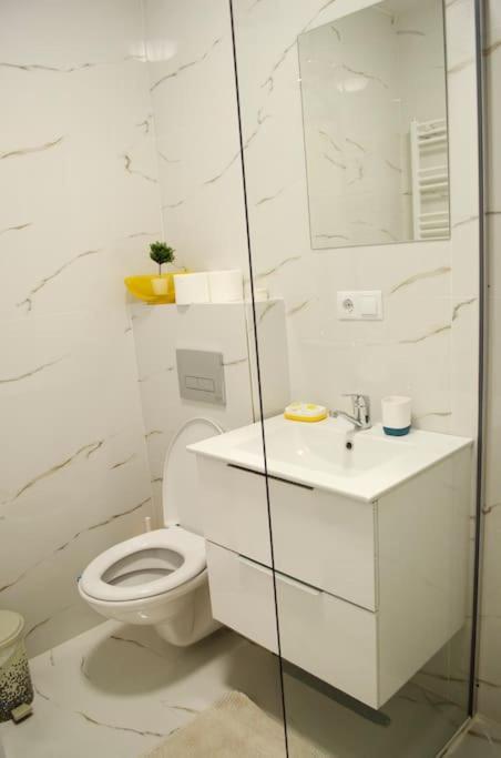 Appartamento 3 Dream Apartmant 3+Parcare Gratuita Gran Varadino Esterno foto